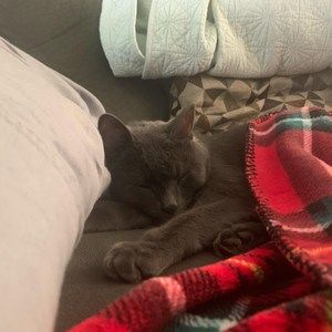 Meet your Posher, Roman